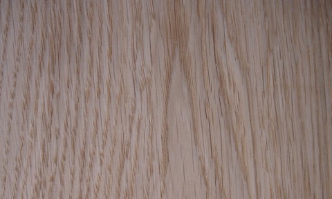 European Oak