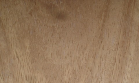 Iroko