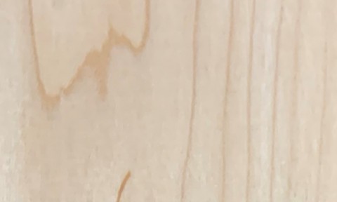 American Hard Maple