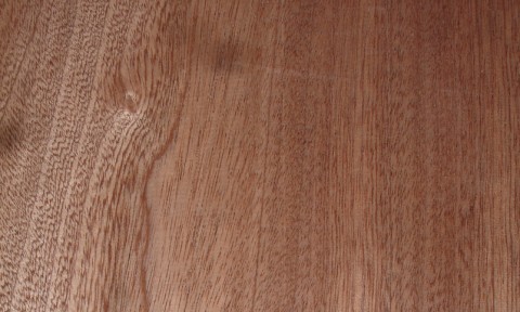 Sapele