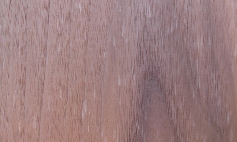 American Black Walnut