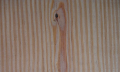 American Southern Yellow Pine